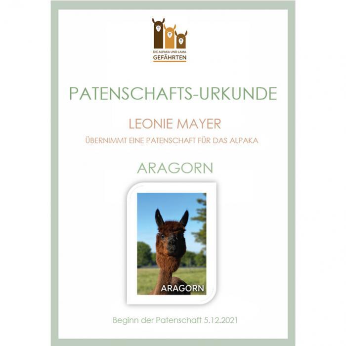 Alpaka Patenschaft – Bild 7