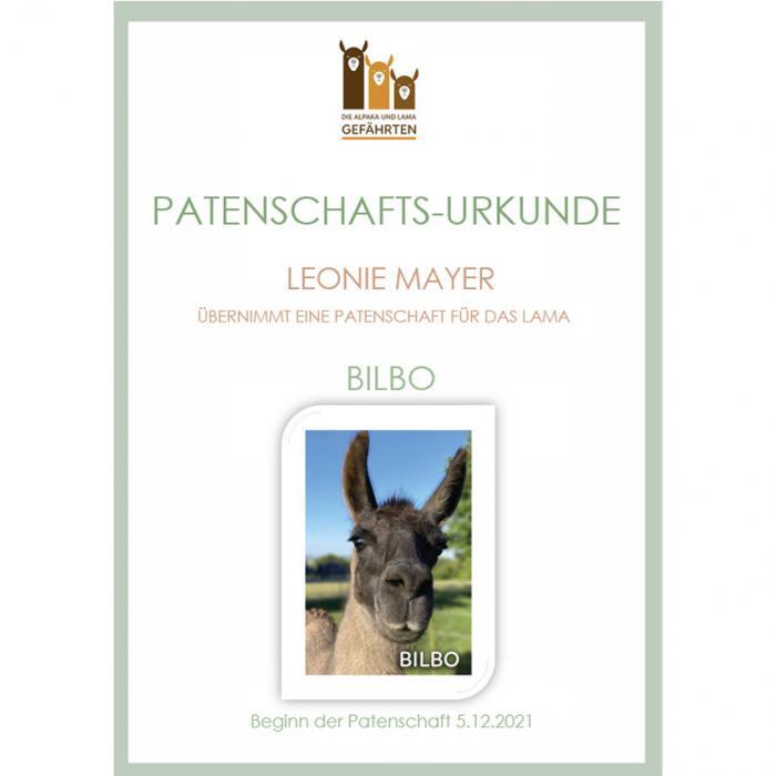 Lama Patenschaft – Bild 5