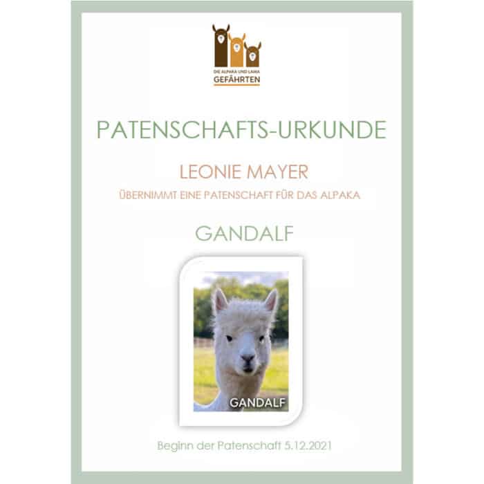 Alpaka Patenschaft – Bild 6