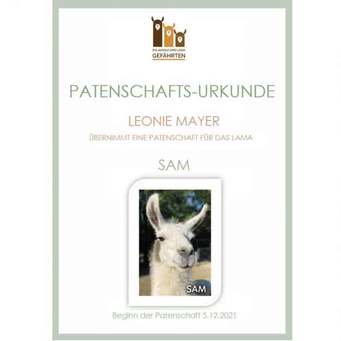 Lama Patenschaft