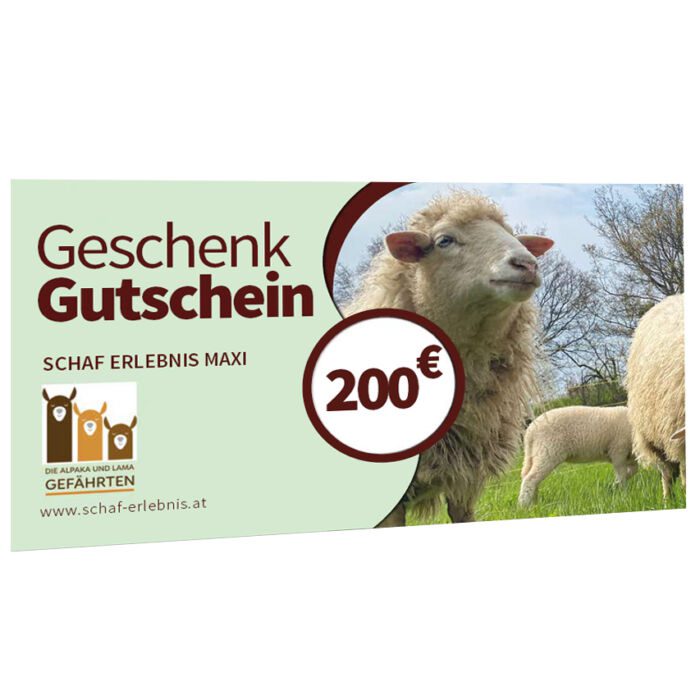 Schaf Erlebnis Gutschein Guntramsdorf Sofort-Download – Bild 3