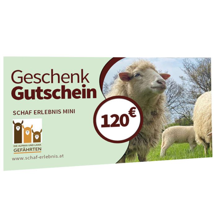 Schaf Erlebnis Gutschein Guntramsdorf Sofort-Download
